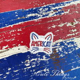Americat ITH